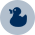 swim academy