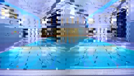 1239623 561540303883434 425152550 N