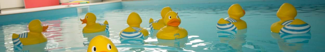 Ducks (Aqua Nurture) Image 1