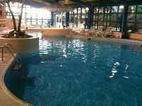 Mercure Abbotts Well Hotel Pool Puddle Ducks.jpg