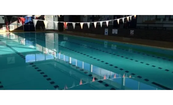 New Earswick Pool Puddle Ducks.jpg