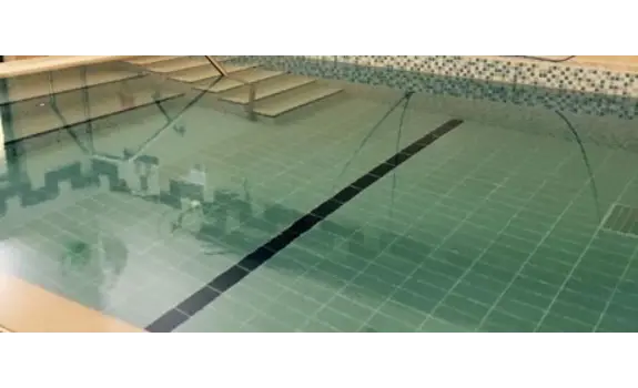 Applefields School Pool Puddle Ducks.jpg