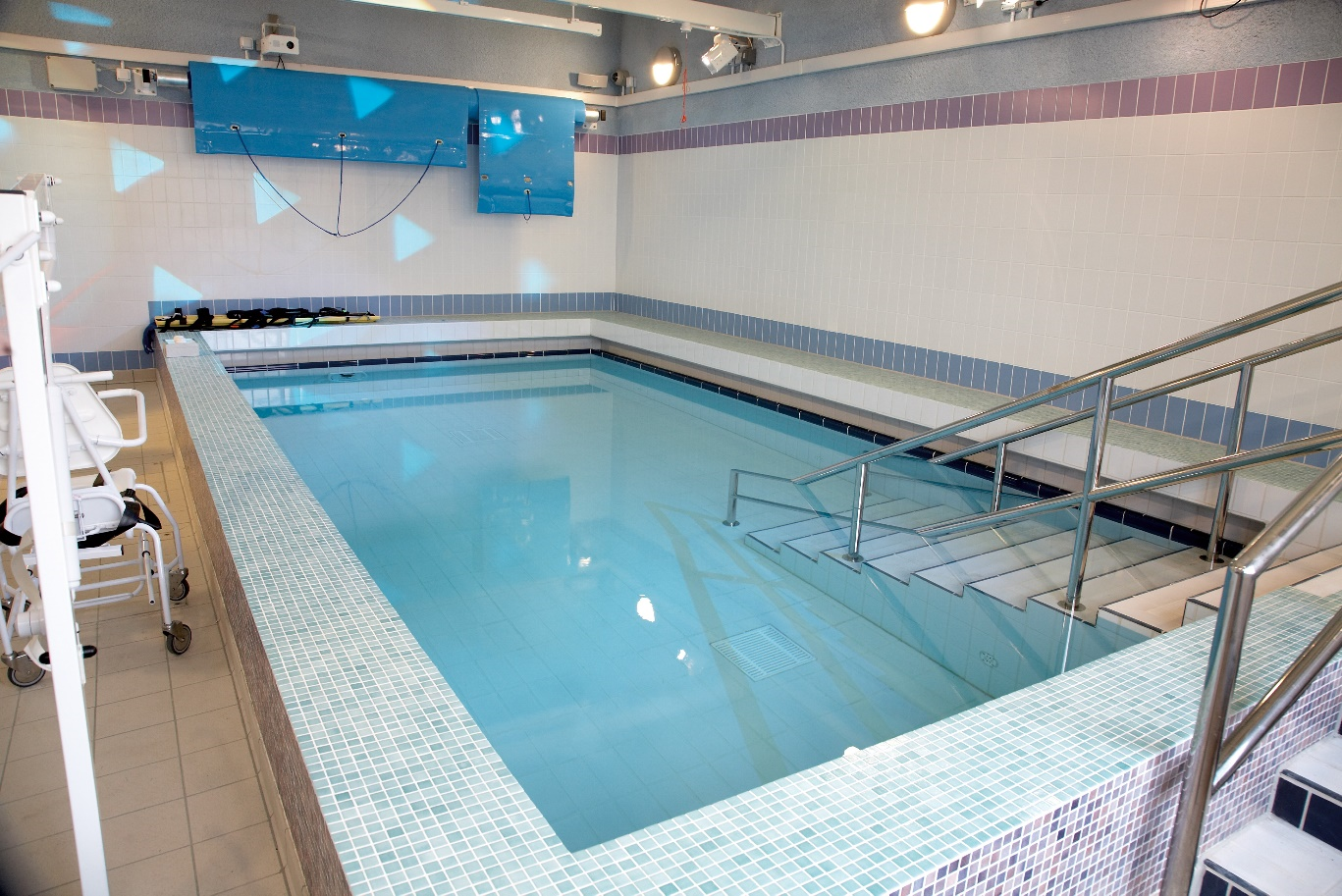 Energise Pool Puddle Ducks.png