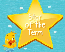 Star of The Term Spring 2017