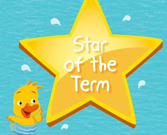 Star of The Term Spring 2017