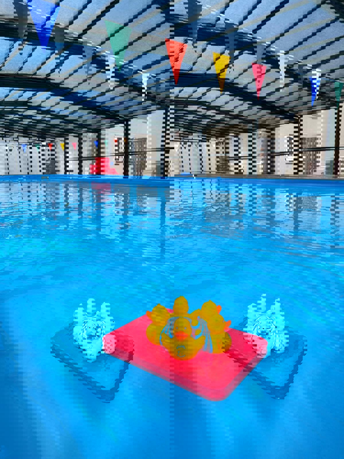 Wray Common With Ducks