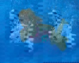 Underwater shot