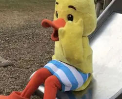 Martha and Annabel and Puddle The Duck