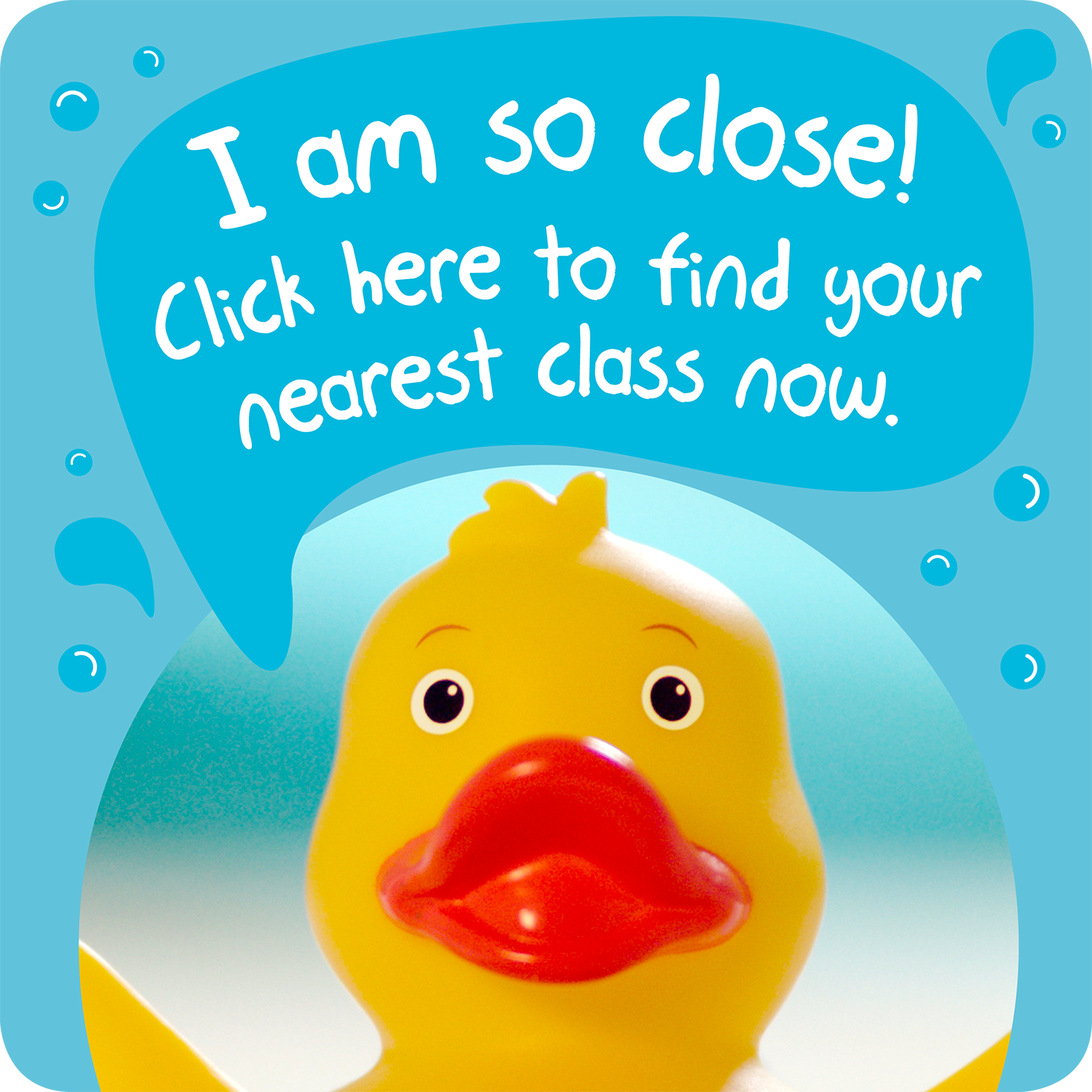 Class_search_box_duck.png