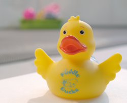 Rubber duck poolside