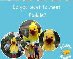 Meet Puddle the Duck