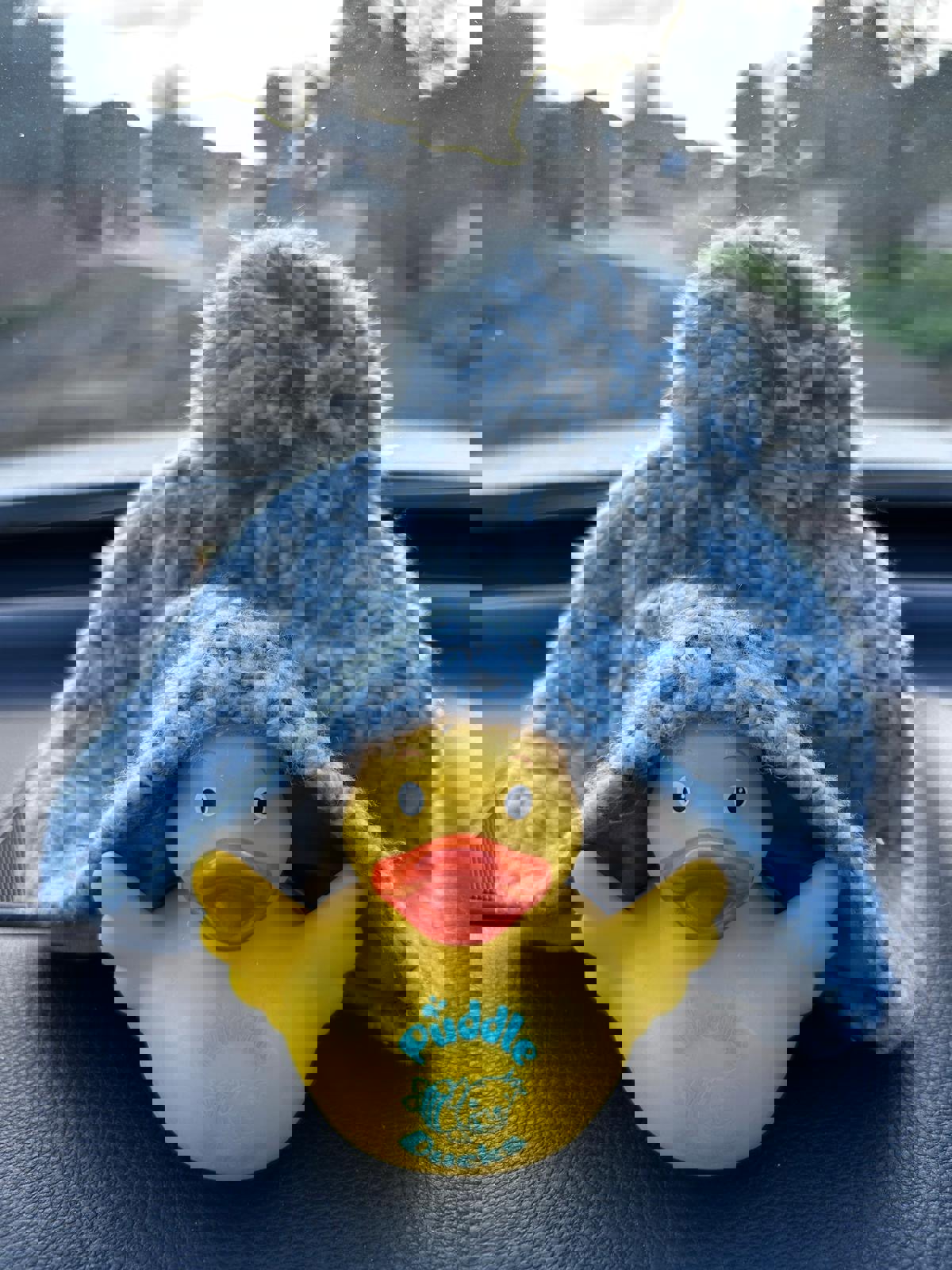 441B2823 Af40 4B90 915F D9642704f553