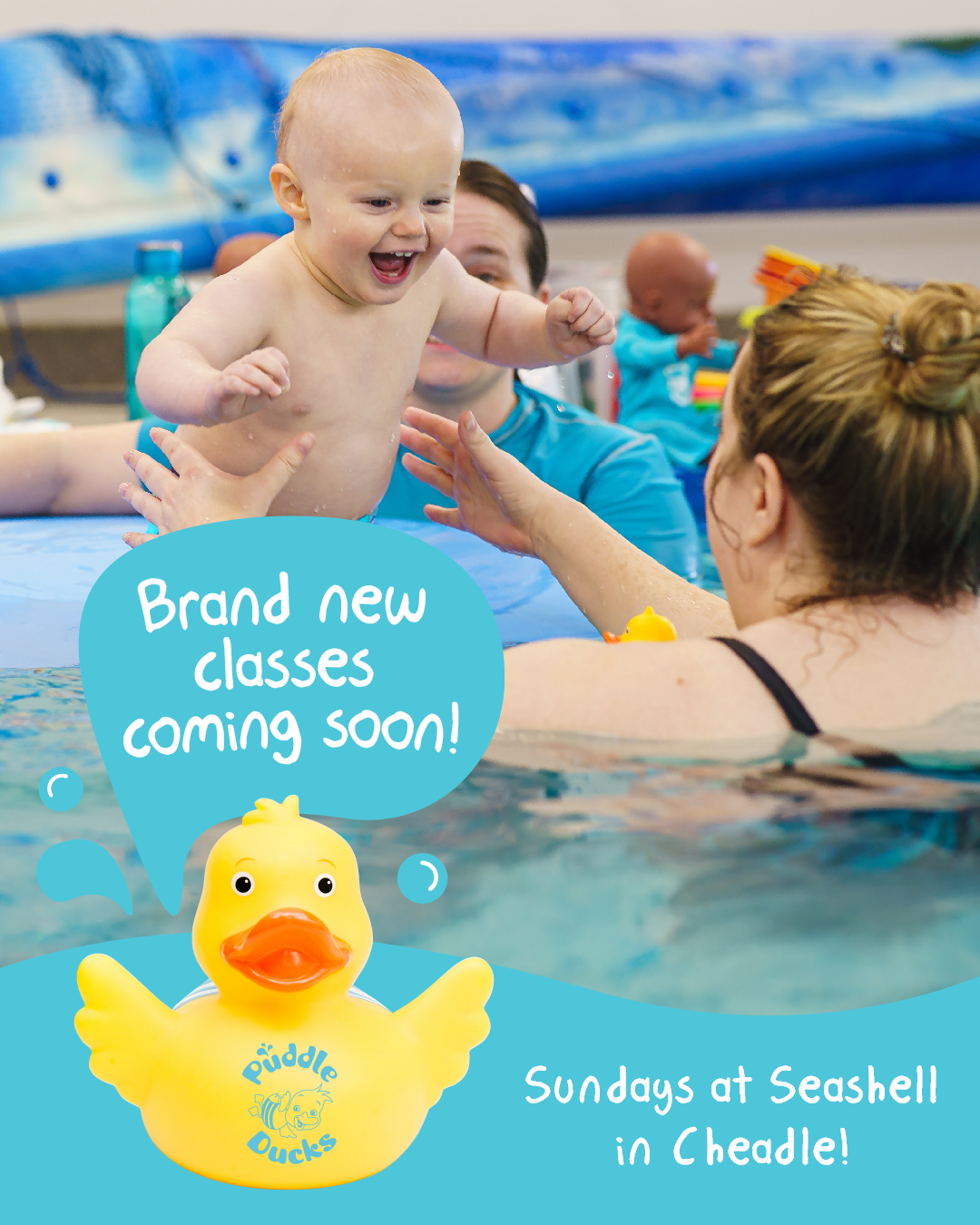 Seashell New Classes Jan 26