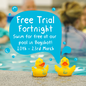 Duck with a speech bubble about Free Trial lessons