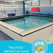 538910274 1343770374419680 7232822382801006365 N