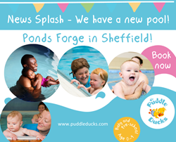 NEW Sheffield Pool!