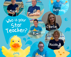 Who Is Your Star Teacher?