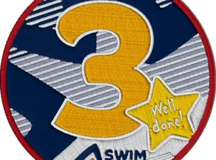Sa Level 03 Badge