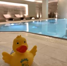 Find Your Pool Timetable
